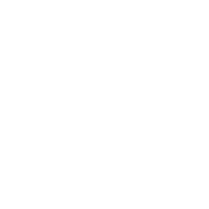 Punch List Pros: Click to visit site